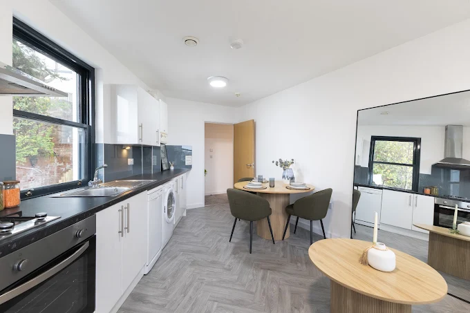 A modern shared kitchen